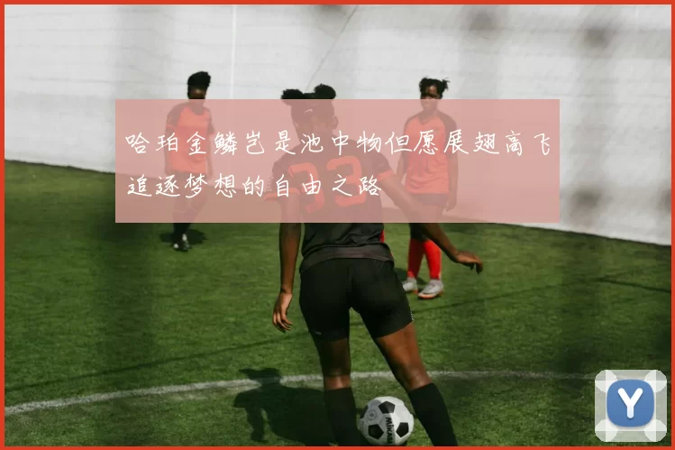哈珀金鳞岂是池中物但愿展翅高飞追逐梦想的自由之路